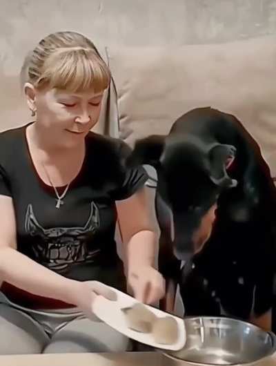 dog🥹 