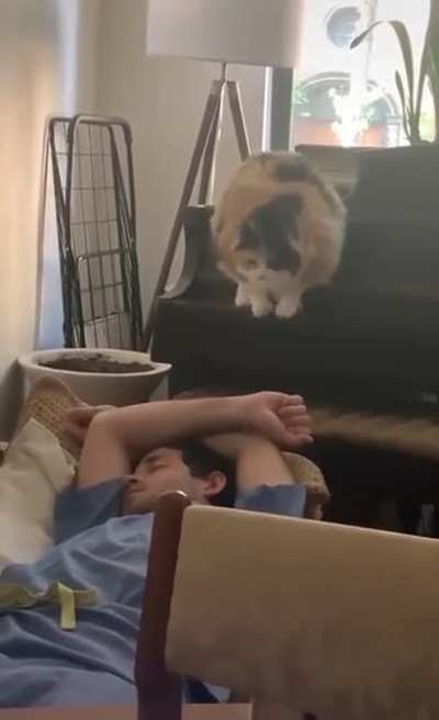 Oh what happened? Anyway now that you’re up, can you feed me?