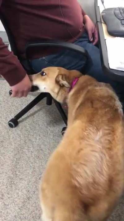 No PDA