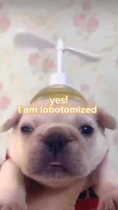 Yes!