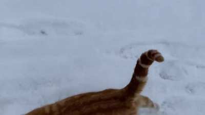 Greebles in the snow?
