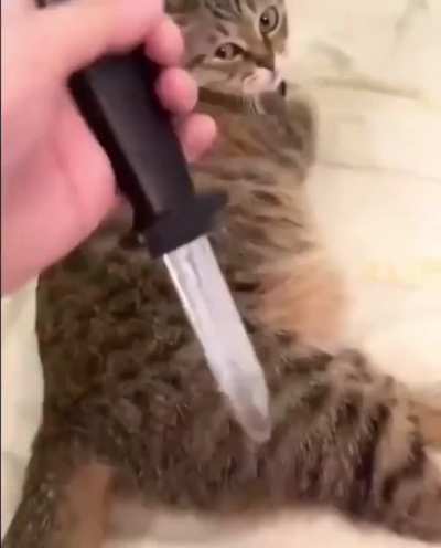 Title