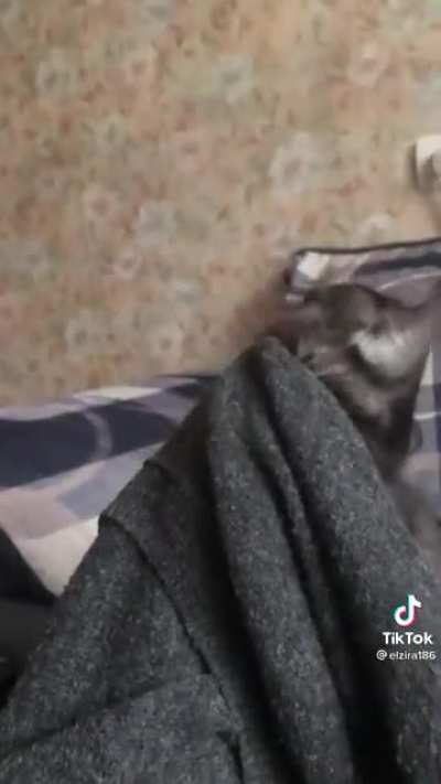 Зажевало