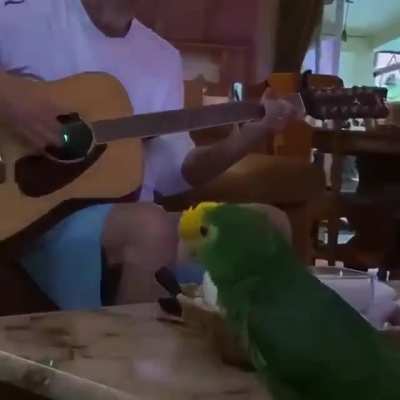 He's back to Rock