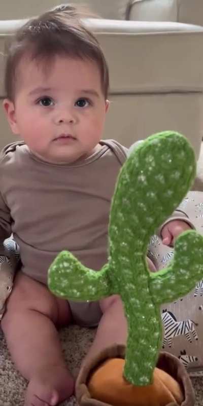 Emiliano vs cactus