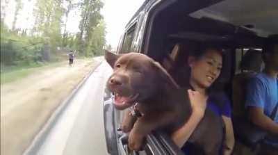Loving the wind