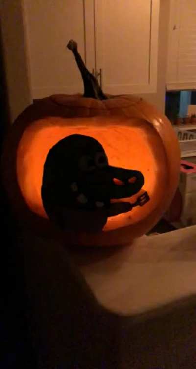 &ldquo;The lights will flicker on and off&rdquo;