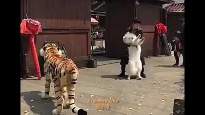 中国へようこそ
