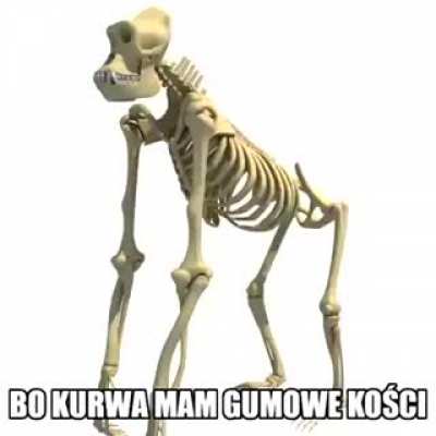 rule