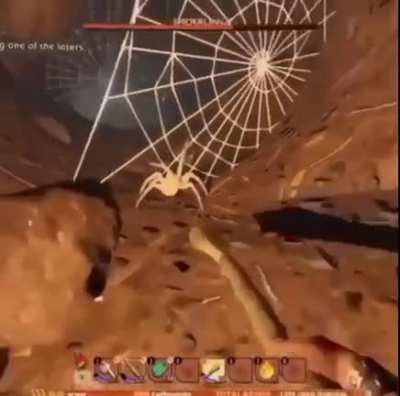 "F you little spider"