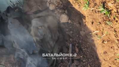 [Feature: Part 2 of 2] UA 54th Mechanized Brigade's "Battalion K-2" posted extended length footage narrating the defeat of a Russian infantry assault, picked apart after being drawn into a "kill zone" within K-2's trench system. [YouTube version / subtitl