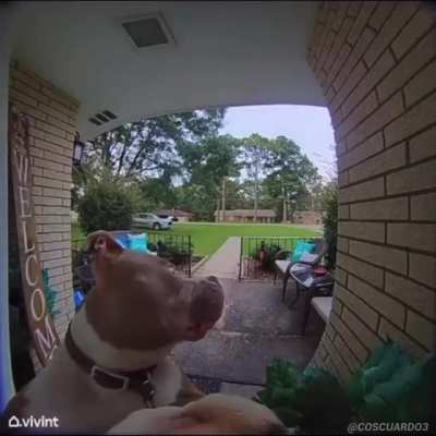 o_o