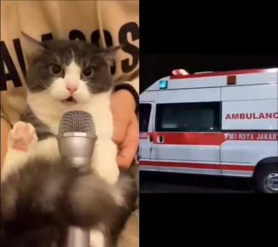 Ambulance siren