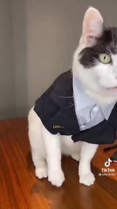 &ldquo;I&rsquo;m not a cat.&rdquo;