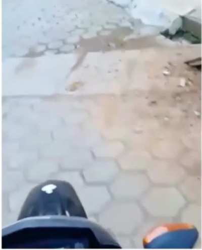 Hmmmm p&atilde;o de alho