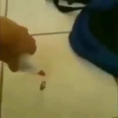 Cursed_glu