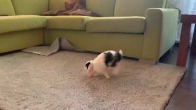 It&acute;s zooming time!