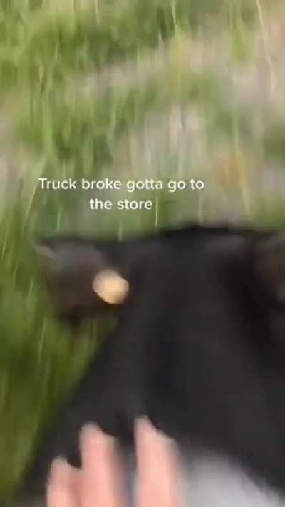 hogr