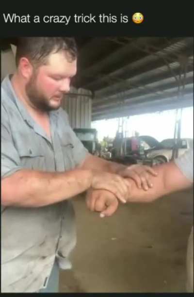 Maybe Maybe Maybe