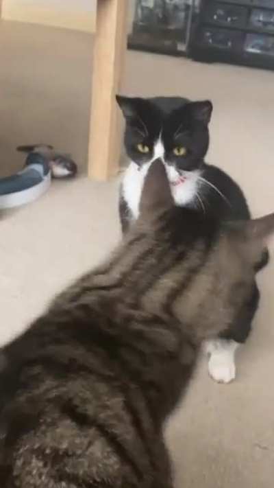 She tries to act all innocent afterwards