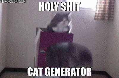 cat appear 😀