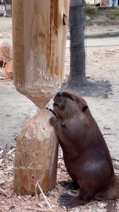 Almost there, sounds good let&rsquo;s back away