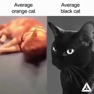 🗿