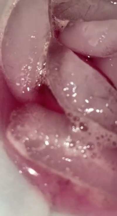 I don&rsquo;t know why Tris turns Schweppes foam this color but 🤷🏻&zwj;♂️🤞🏼🧬
