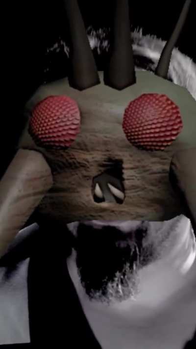 Hoarding Bug wants to see your pocket