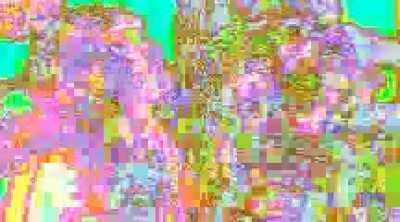 Boys when the meme is nuked