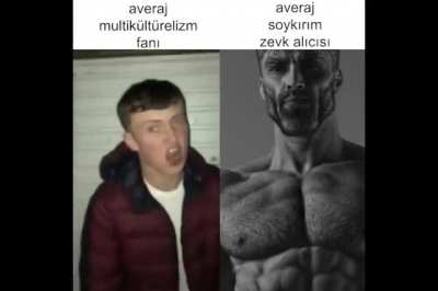 average turk