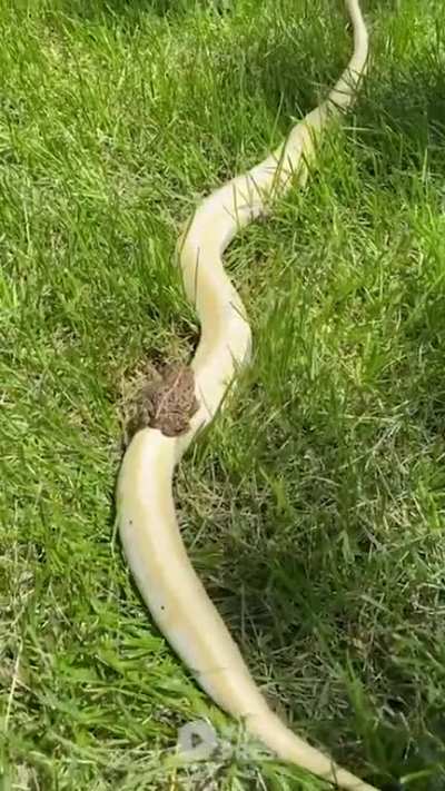 Keep your friends close and enemies closer