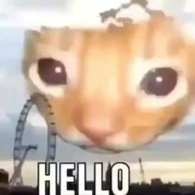 ,