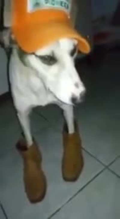 A risada