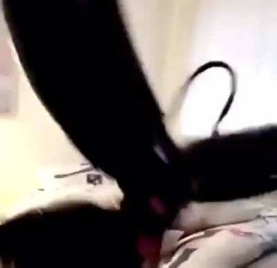 cursed_bull