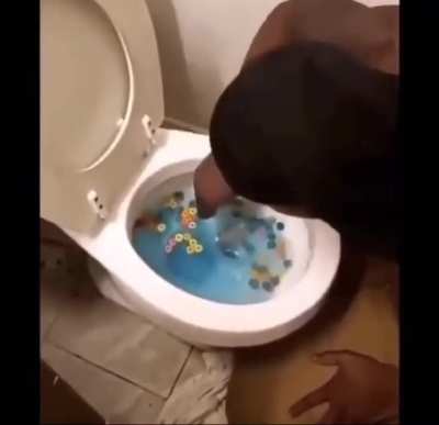 Most important meal of the day