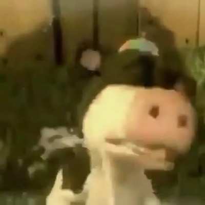 NOOOO-