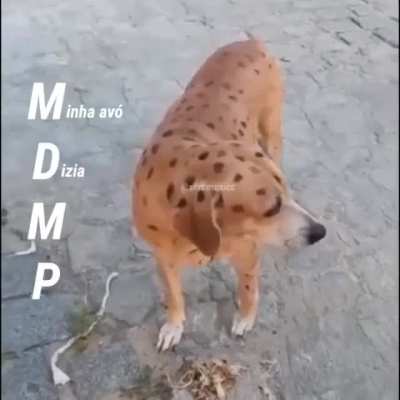 S I M P S O N S