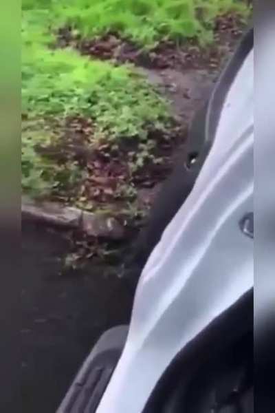 WCGW - When trying to catch a cab after hitting the pubs?