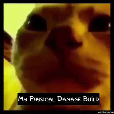 My character built for Phys DMG is watching others do elemental reactions in Coop.
