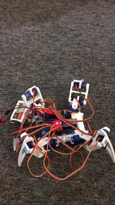 White spider robot