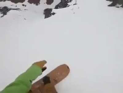 Why would anyone bring their dog on dangerous snowboarding?
