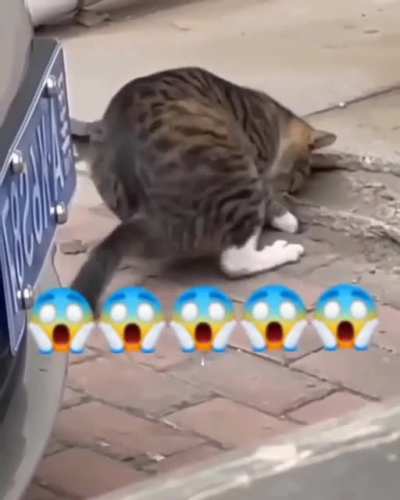 Охотник
