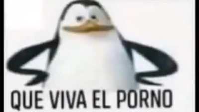 Yo 24/7