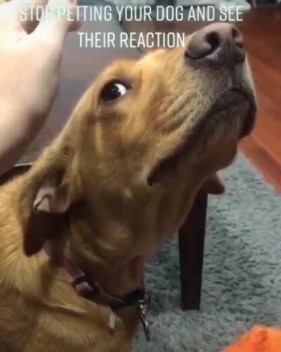 The reaction is priceless