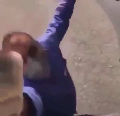 Insertar titulo aqui 🤑😎😈🥵