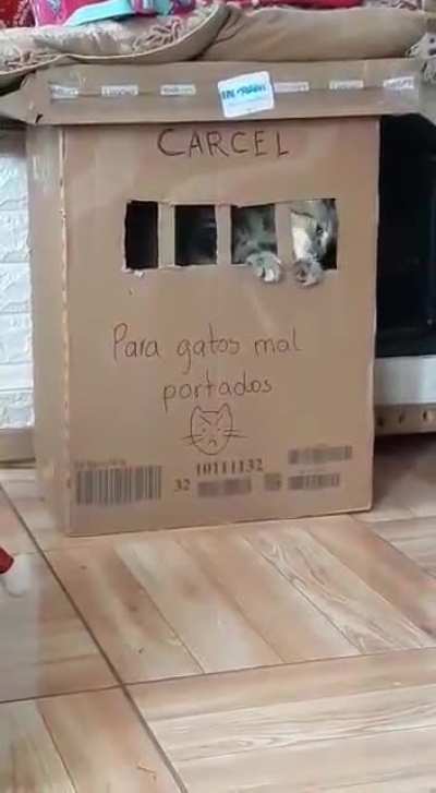 N&Atilde;OOOOOOOOOOOOOOOOO