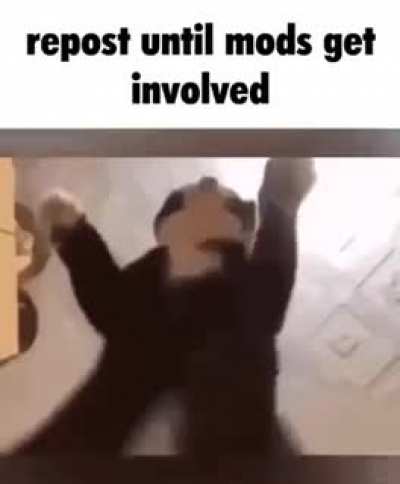 cmon do it