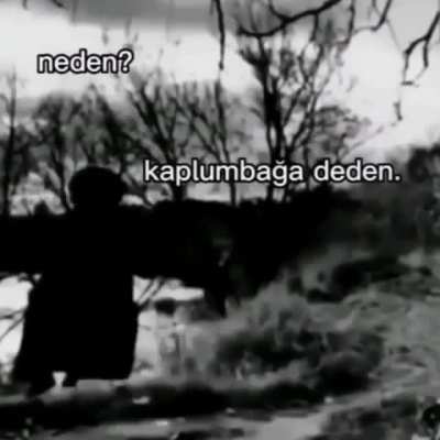 Neden ?