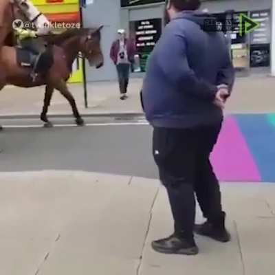 El suelo es lgtb